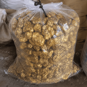 Gold Nuggets